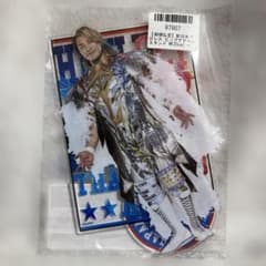 新日本プロレス ビッグアクリルスタンド WK20ver. ～GiGOグループのお