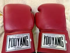 YOOYANG BIGSTAR ボクシンググローブ レッド - メルカリ