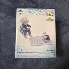 m13250189595_1.jpg?1762560534