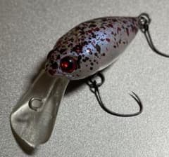 m24349232200_1.jpg?1728702085