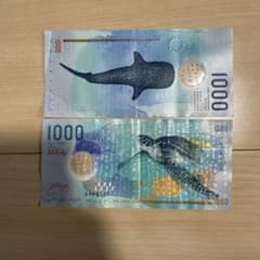モルディブ 1000ルフィア（MVR）紙幣（海亀・ジンベイザメ） - メルカリ