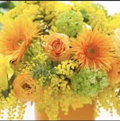 新品 アルソア セルローション 150ml2本セット - メルカリ