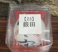 薮田和樹選手 直筆サインボール 広島カープ - メルカリ