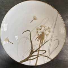 ロイヤルコペンハーゲン フローラシリーズ プレート 22センチ(廃盤品