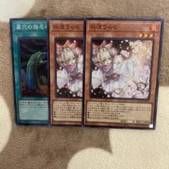 m29473635180_1.jpg?1704538000