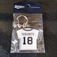 m29547950386_1.jpg?1725153471