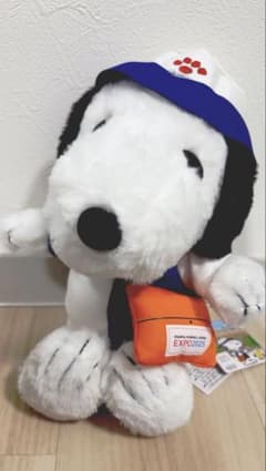 m29596140958_1.jpg?1758032571