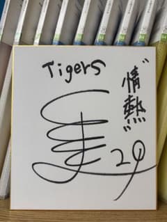 阪神タイガース 高橋遥人 29 直筆サイン色紙 入団直後サイン！髙橋遥人