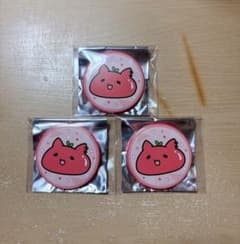 m20349255846_1.jpg?1755607314