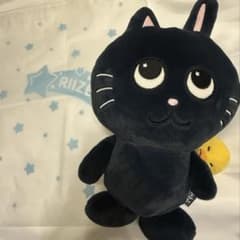 RIIZE ウォンビン トニャンドク 40cm ぬいぐるみ - メルカリ