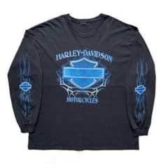 ハーレーダビッドソン ブルーフレイム ロンT 長袖Tシャツ 袖フレイム