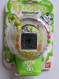 m21140207850_1.jpg?1662176779