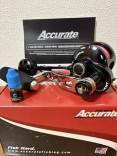 Accurate Valiant BV2-500N アキュレート 嶋田工房 - メルカリ