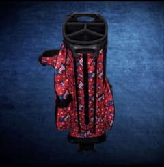 値下げ⭐️キャメロンスタンドバッグ サークルT ヘッドカバー＆パター