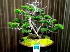 m22177929135_1.jpg?1723260690