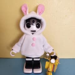 ロボホン 裏起毛うさぎさんパーカー2枚、二人用ポーチ - メルカリ