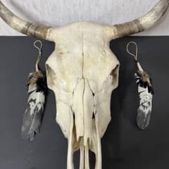 希少品 ヴィンテージ ビッグサイズ スカルヘッド バッファロースカル