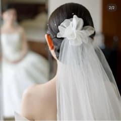 m23431236743_1.jpg?1765031850