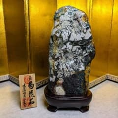 m34465214939_1.jpg?1702636374