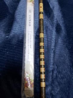 m37236866142_1.jpg?1573648457