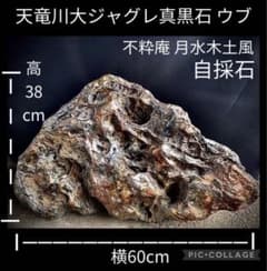 4179 天竜川大ジャグレ真黒石 天龍川石 天竜川石 ウブ 置物 自然石