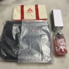 NECレッドロケッツ川崎 リュック(ミズノ社製オリジナルバッグ)FC特典