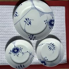 お値下げ/新品】ブルーフルーテッド メガ 27cm×1 19×2 - メルカリ