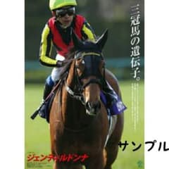 ヒーロー列伝ポスター ジェンティルドンナ JRAポスター - メルカリ