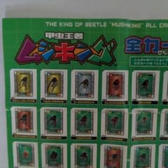 m74302492546_1.jpg?1754801333