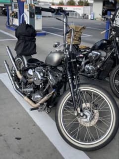 m74351933076_1.jpg?1746962801