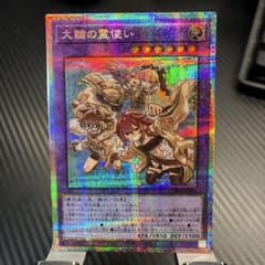 遊戯王 大輪の霊使い プリシク1枚 - メルカリ