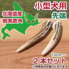 小型犬用 蝦夷鹿の角 2本セット 北海道産 犬 おもちゃ シカ ツノ