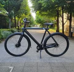 m76574136398_1.jpg?1752049509