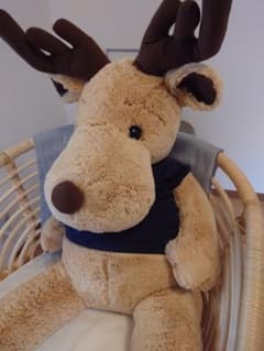 m76748294074_1.jpg?1717645085