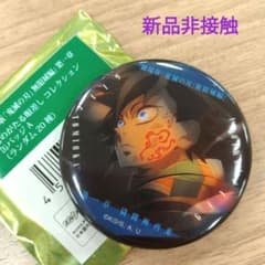 m76861474667_1.jpg?1754936611