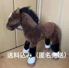 m77037976055_1.jpg?1734089653