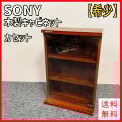 希少 SONY カセット テープ キャビネット コレクションケース 昭和