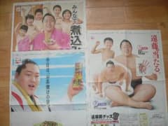 なんと3点！貴重！遠藤関 永谷園 新聞広告 切り抜き 大相撲 2014年他