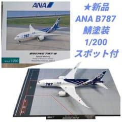 新品】ANA B787-8 JA801A 鯖特別塗装 1/200 全日空商事 - メルカリ