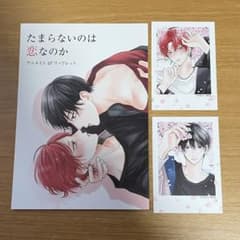 特典3種】たまらないのは恋なのか 特典 リーフレット チェキ風カード