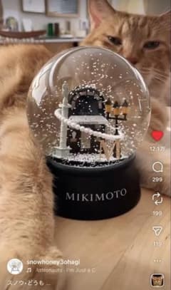 MIKIMOTO スノードーム 石田ゆり子 ミキモト 2025 ノベルティ置物