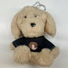 m71727663047_1.jpg?1760194412