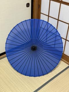 蛇の目傘 番傘 絹 シルク 和傘 傘 二段継 舞踊 大衆演劇 着物 撮影