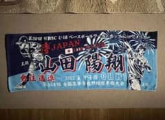 m72341469803_1.jpg?1754666701