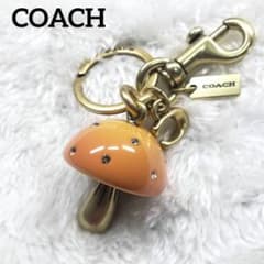 m72568867803_1.jpg?1749611557