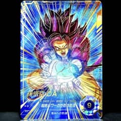 m73970559564_1.jpg?1752761685