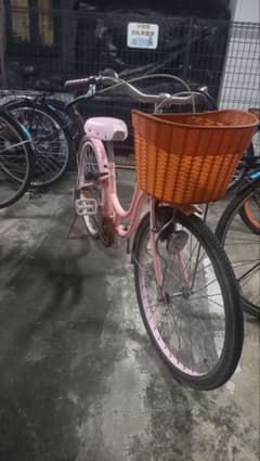 値下げ！4,000円 22インチ子供用自転車 シスタージェニー - メルカリ