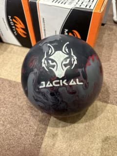 m88131953063_1.jpg?1747457968