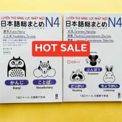 新品 SOMATOME N4 日本語総まとめN4（ベトナム語・英語版）2冊セット