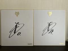 m89020202626_1.jpg?1749885280